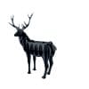 Deer2.jpg