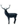 Deer3.jpg